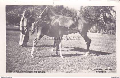 IRAQ - Baghdad - Photo Postcard 3