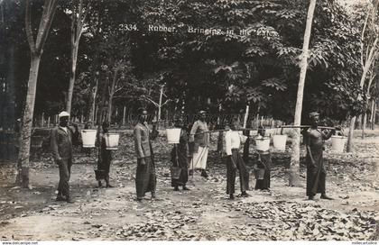 * MALAYSIA - Rubber, Bringing in the Latex (Photo Postcard)