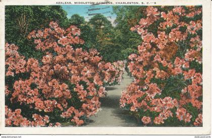 PC33458 Azaleas. Middleton Gardens. Charleston. E. C. Kropp. 1933