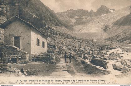 PC43667 Pavillon et Glacier de Trient. Pointe des Ecandies et Pointe d Orny. Jul