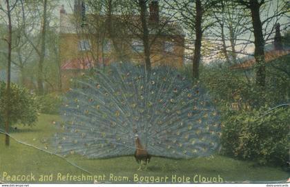 PC61253 Peacock and Refreshment Room. Boggart Hole Clough. Ogden