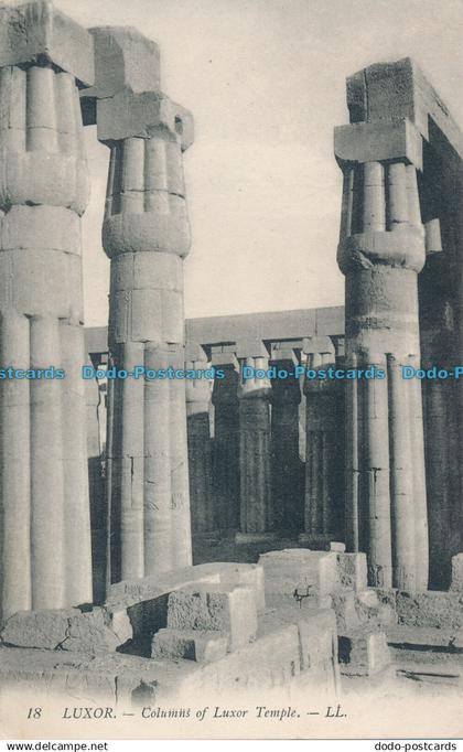 R009899 Luxor. Columns of Luxor Temple. LL. No 18