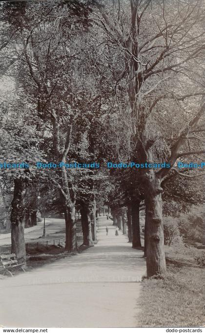 R025759 Promenade. Clifton