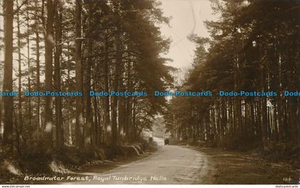 R028118 Broadwater Forest. Rydal Tunbridge Wells. Wells. RP. 1926