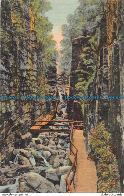 R054418 The Flume Gorge Franconia Notch. White Mountains. N. H. Bisbee