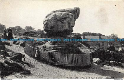 R059944 Tunbridge Wells. Toad Rock