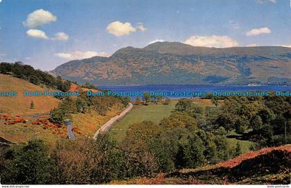 R065785 Ben Lomond and Loch Lomond. Dunbartonshire. Salmon