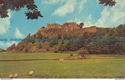 R067956 Stirling Castle. Stirlingshire. Dexter