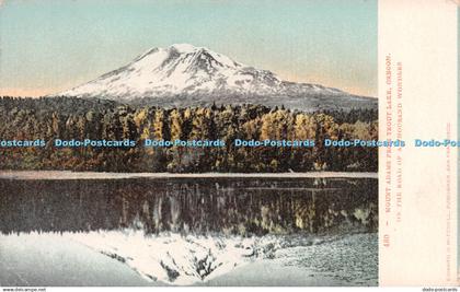 R261207 Mount Adams From Trout Lake Oregon On The Road Or A Thousand Wonders Edw