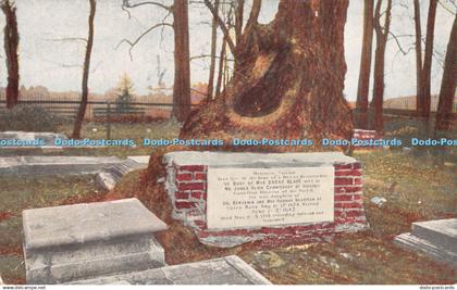 R279826 Graveyard at Jamestown showing old Sycamore Tree The Association for the