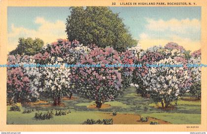 R283669 Lilacs In Highland Park Rochester N Y No 32 Art Colortone The Rochester