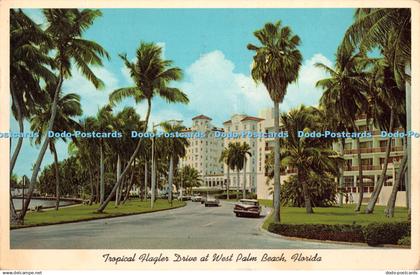 R346497 Florida Tropical Flagler Drive at West Palm Beach Gulf Stream Card and D