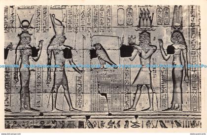 R349379 Edfou Temple Reliefs Lehnert and Landrock Succ Ernst Landrock Egypt