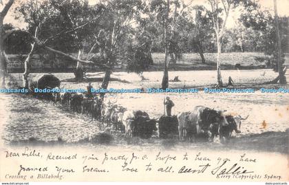 R387271 Crossing a Billabong Kerry Postcard