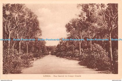 R415491 Lisboa Rue Central do Campo Grande Postcard