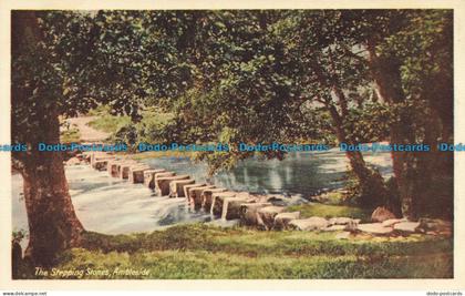 R630285 Ambleside. The Stepping Stones