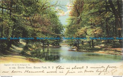 R652060 Bronx River. Bronx Park. N. V. Rotograph