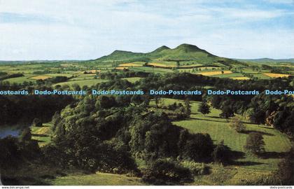 R685132 Roxburghshire. The Eildon Hills From Bemersyde. Lilywhite. Hunting