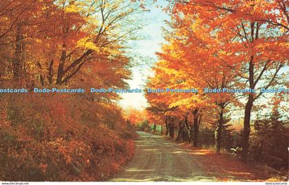 R686415 Canada. A Road Scene in Muskoka. Winger Wholesale. Kodachrome by Newt. W