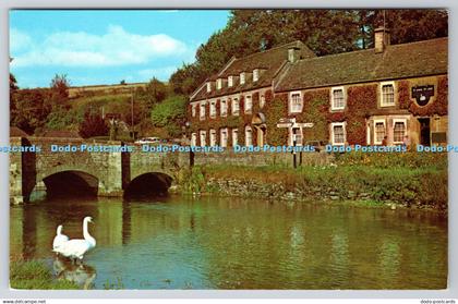 R744337 River Coln Bibury Gloucestershire Swan