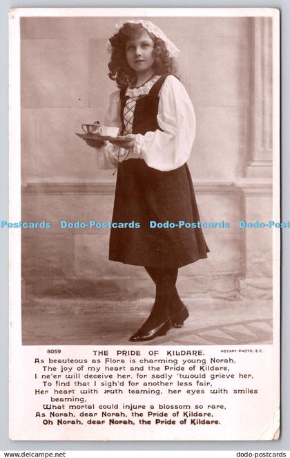 R758419 The Pride of Kildare Rotary Photo Postcard 1905