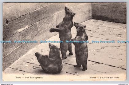 R769654 Berne La Fosse aus Ours Ernst Selhofer