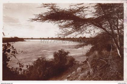 SOMALIA - Somalia Italiana - Lugh - Il Giuba - Campassi Photo Postcard