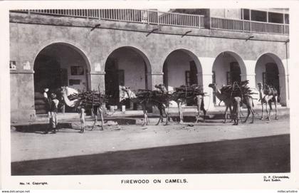 SUDAN - Port Sudan - Firewood on Camels - Real Photo Production