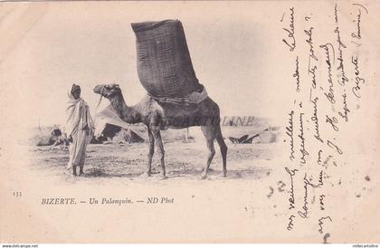 TUNISIA - Bizerte - Un Palanquin