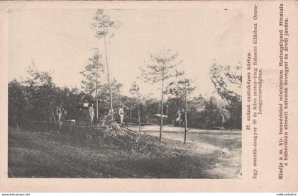 * WWI - Austro Hungarian Batteries in Russia / Polonia