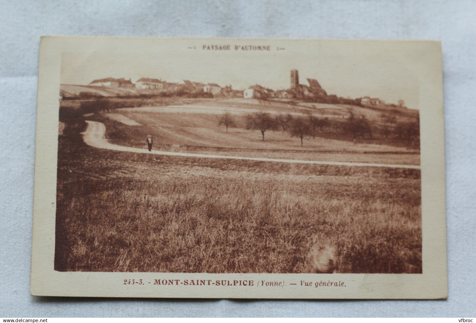 Mont Saint Sulpice, vue générale, Yonne 89