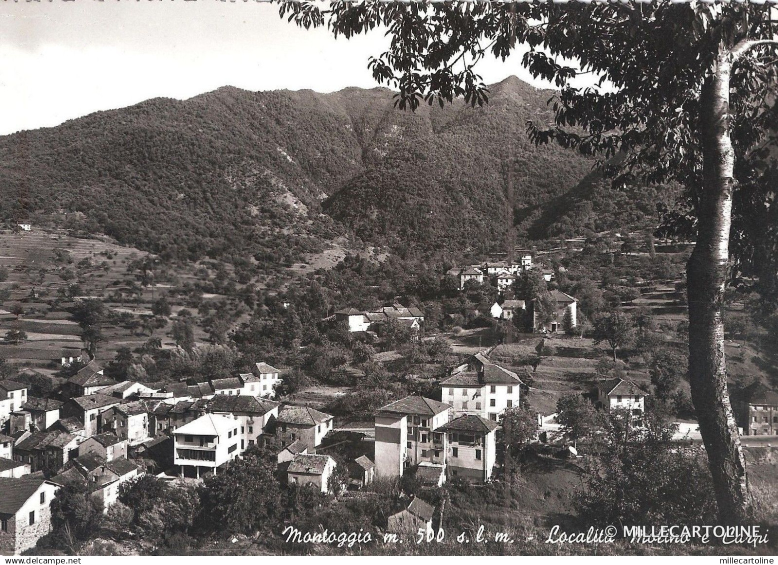 MONTOGGIO  - Località Molino e Carpi