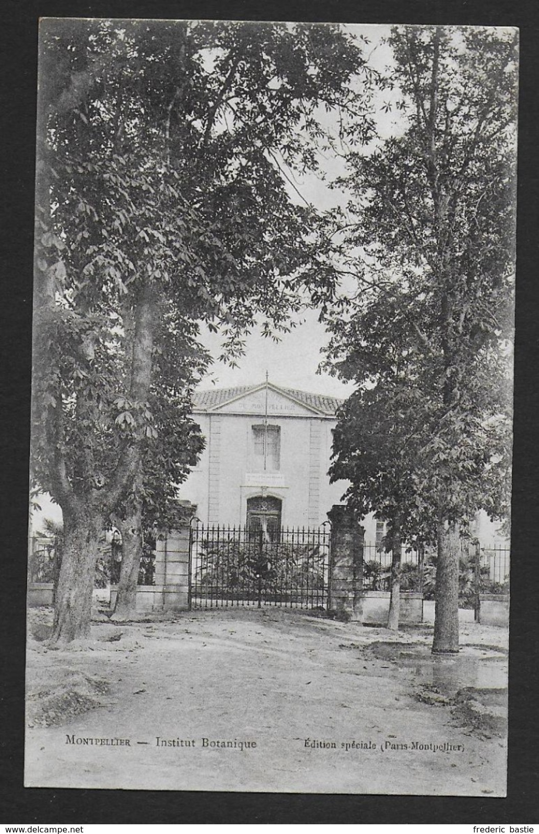 MONTPELLIER - Institut Botanique