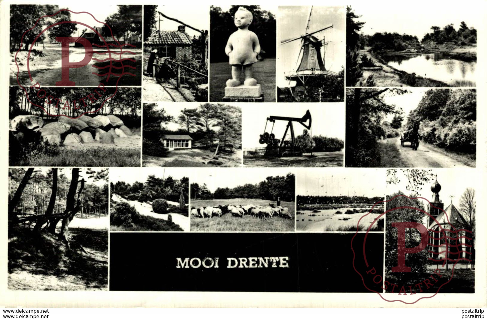 Mooi Drenthe Multiview DRENTHE HOLLAND HOLANDA NETHERLANDS