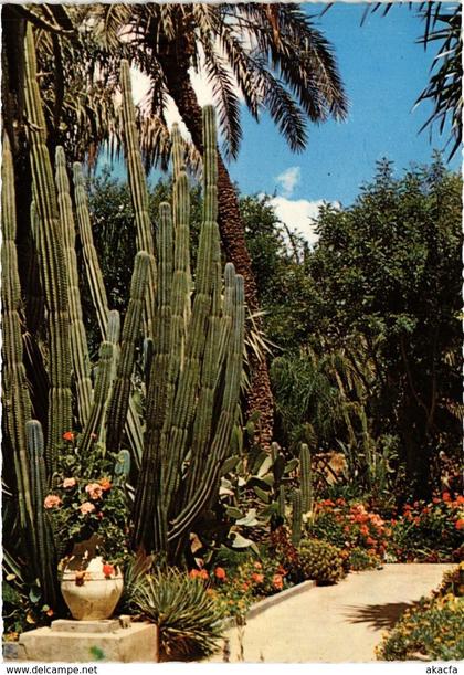 CPM AK MAROC Jardin exotique du Peintre Majorelle (343177)