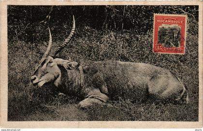 PC CPA MOZAMBIQUE, A WATER BUCK, VINTAGE POSTCARD (b20757)