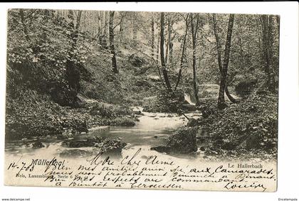 CPA - Carte Postale - Luxembourg - Muellerthal - Le Hallerbach -1903-VM695