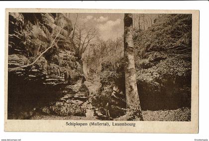 CPA - Carte Postale -Luxembourg -Muellerthal -Schipkapass- S3345