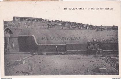 ALGERIA - Souk-Ahras - Le Marché aux bestiaux