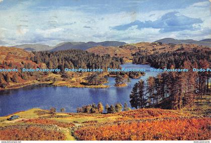 D005403 Tarn Hows. Lancashire. Dixon. 1967