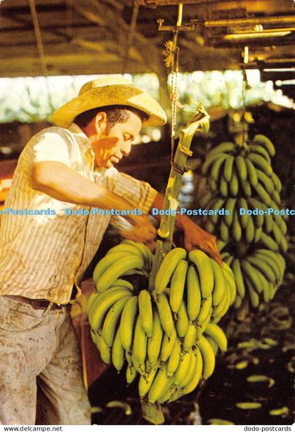 D011081 Finca y Empacadora de Bananos. Honduras. C. A. 1986