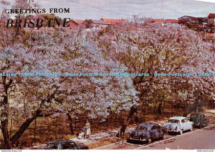 D026931 Greetings from Brisbane. G. Hughes. Jacarandas Lining a Brisbane Street