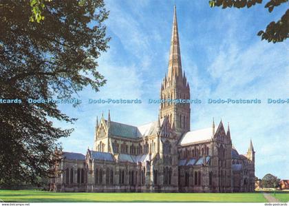 D048347 Salisbury Cathedral. Salisbury Cathedral from the North East. Walter Sco