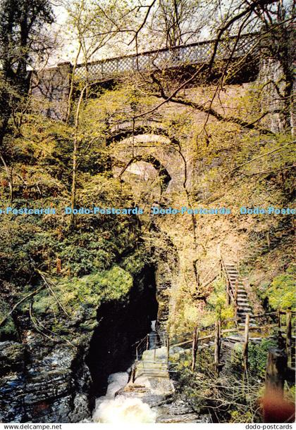 D062848 Devils Bridge and Punch Bowl. Cardiganshire. Dixon. Postcard