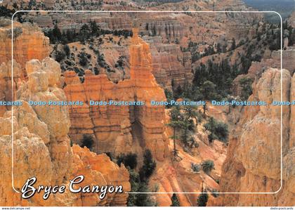 D065125 Bryce Canyon. National Park. Utah. Blackner Card and Souvenir. Plastichr