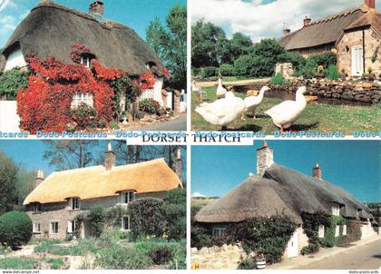 D092551 Dorset Thatch. Thatched Cottages of Dorset. Delpool Picture Library. Mic