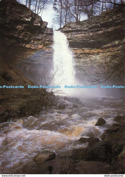 D106180 Yorkshire Dales National Park. Hardraw Force. Wensleydale. Yorkshire Dal