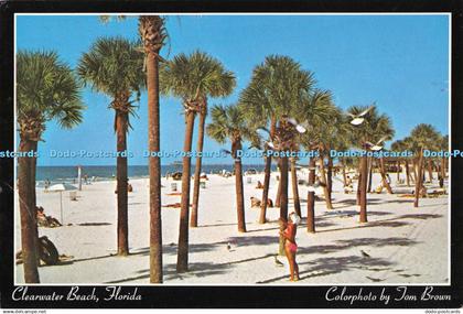 D116511 Florida. Clearwater Beach. Tom Brown