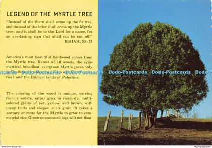 D166284 Legend of the Myrtle Tree. Anderson Scenic Post Cards. Mel Anderson