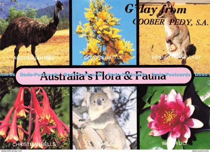 D170385 Australia Flora and Fauna. G Day From Coober Pedy. Colour Tech Productio